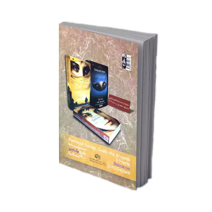 کتاب سهم من اثر پرینوش صنیعی — تصویر ۳