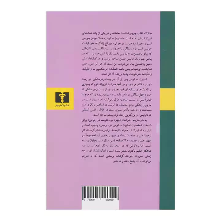 کتاب چهره مرد هنرمند در جوانی — تصویر ۳