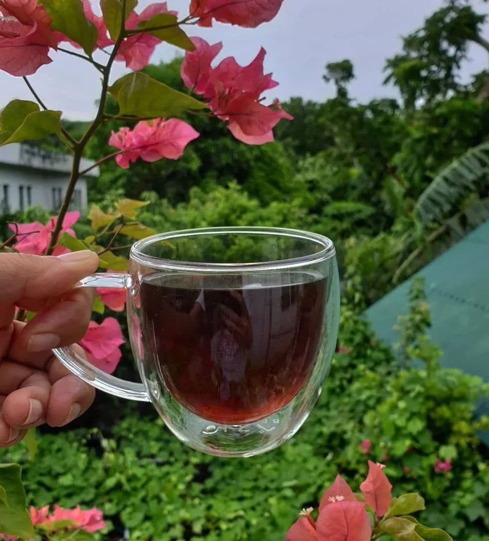 لیوان دوجداره دسته دار 2 عددی مدل پیرکس 250 میل — تصویر ۴