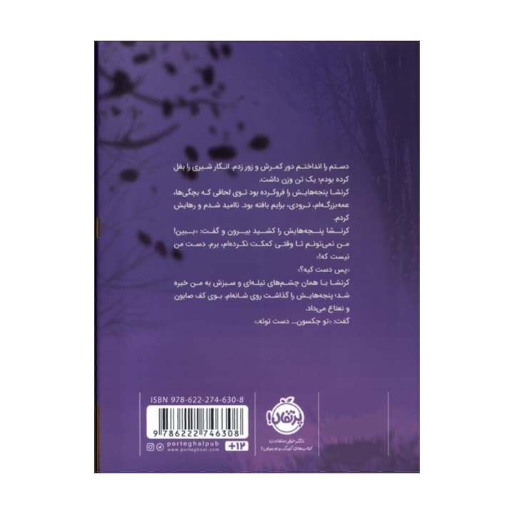 کتاب پاستیل های بنفش از انتشارات پرتقال — تصویر ۳