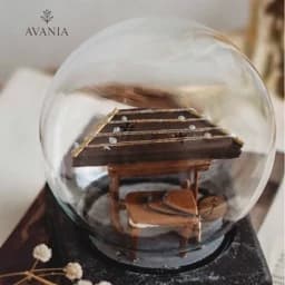 گوی شیشه ای مشاغل و علاقمندی/ ساز سنتور — تصویر ۲
