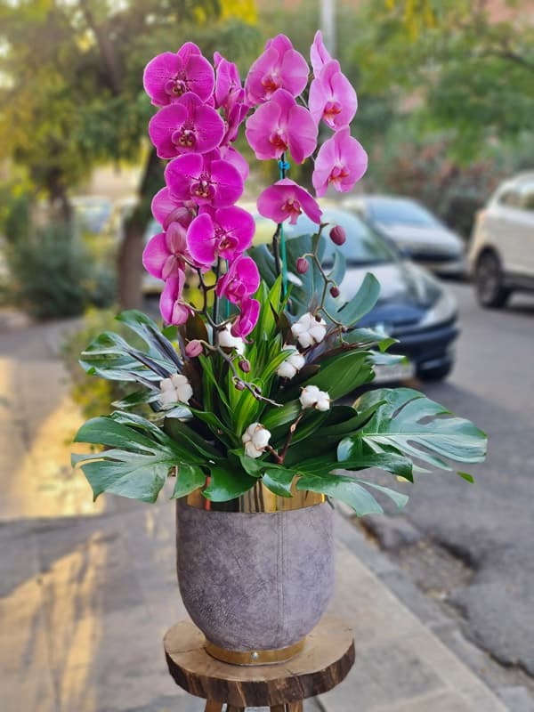 گلدان ارکیده لاکچری E04A05