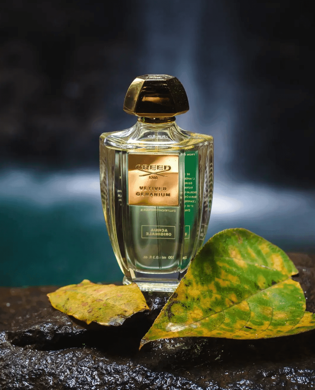 عطر ادکلن کرید وتیور گرانیوم اصل | Creed Vetiver Geranium 100ml — تصویر ۴