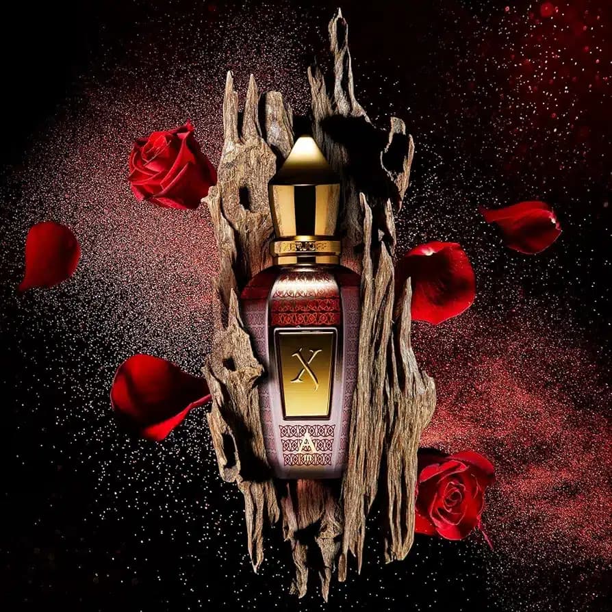 عطر ادکلن زرجف-زرژاف الکساندریا 3 اصل | Xerjoff Alexandria III 50ml — تصویر ۸