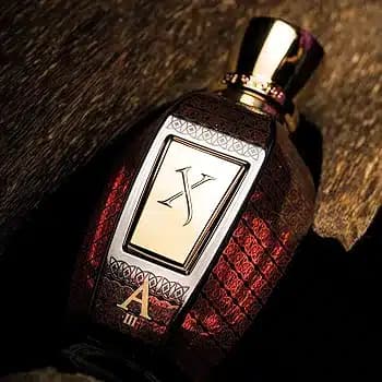 عطر ادکلن زرجف-زرژاف الکساندریا 3 اصل | Xerjoff Alexandria III 50ml — تصویر ۶