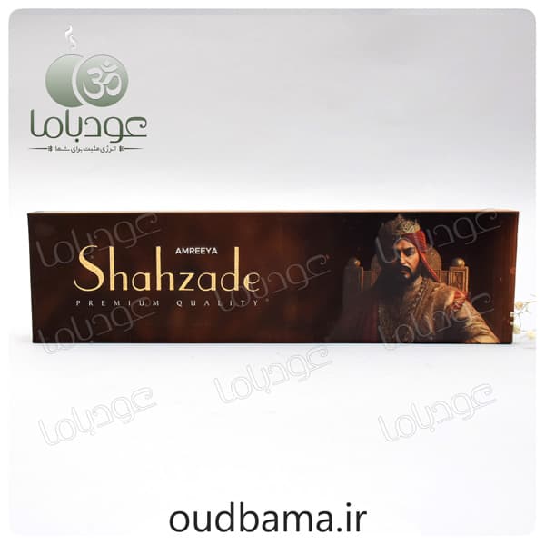 عود دست ساز شاهزاده SHAHZADE ( آمریا AMREEYA ) — تصویر ۴