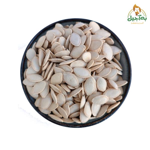 تخمه کدو گوشتی نمکی به آجیل – 250 گرم — تصویر ۲