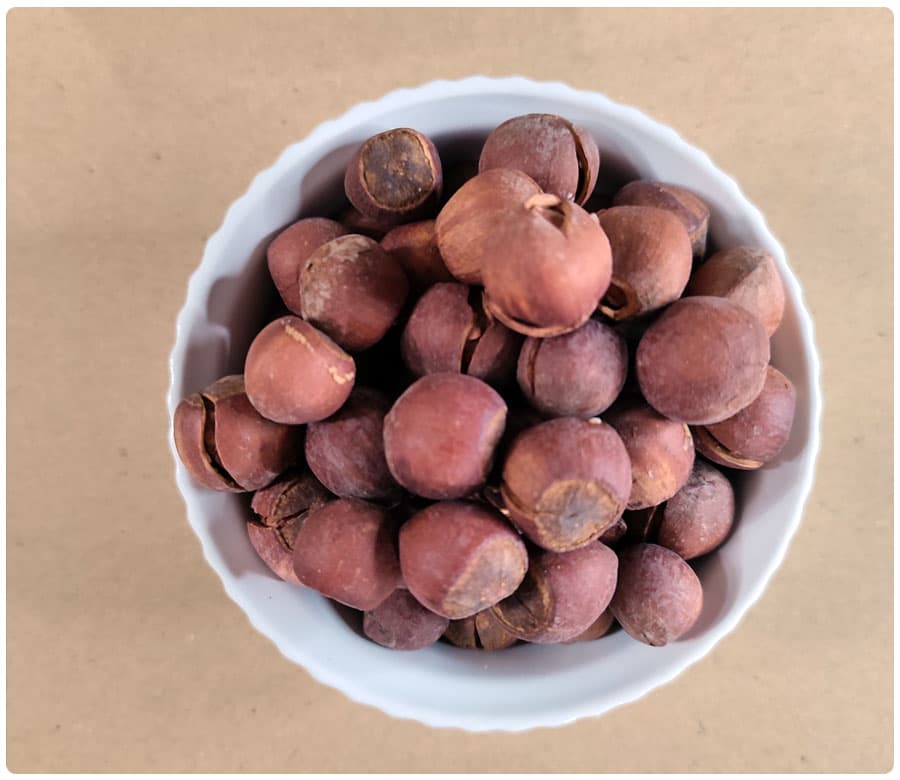 فندق با پوست شکسته