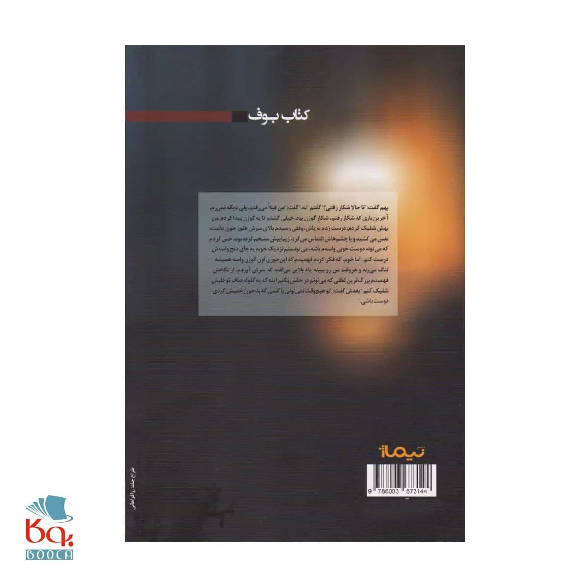 کتاب قهوه ی سرد آقای نویسنده — تصویر ۴