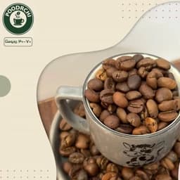 قهوه 70 روبوستا 30 عربیکا - 400 گرمی — تصویر ۲