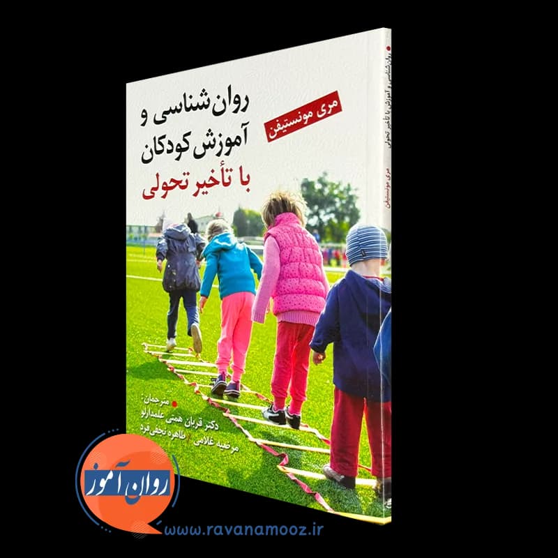 روانشناسی و آموزش کودکان با تاخیر تحولی — تصویر ۵
