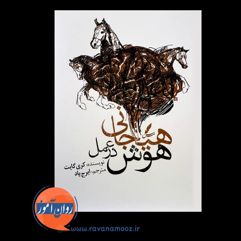 هوش هیجانی در عمل – کری گایت — تصویر ۳