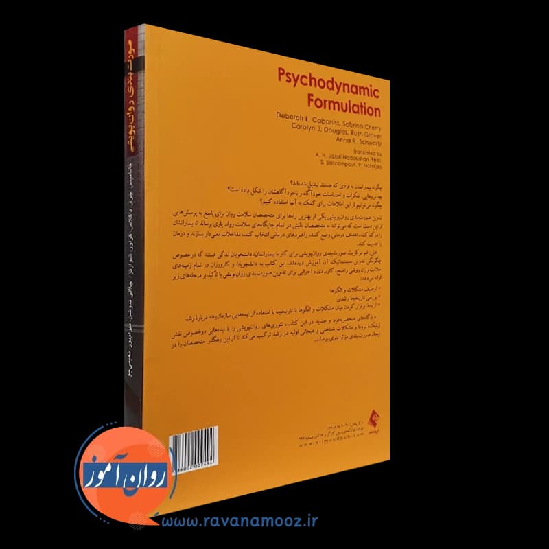 صورت بندی روان پویشی – دبورا کابانیس — تصویر ۷