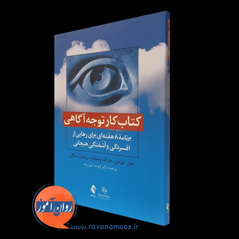 کتاب کار توجه آگاهی – جان تیزدل