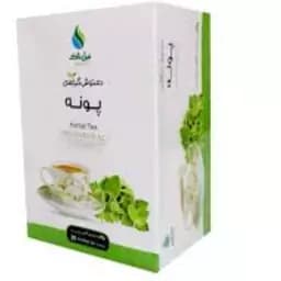 دمنوش گیاهی پونه عالیان — تصویر ۲