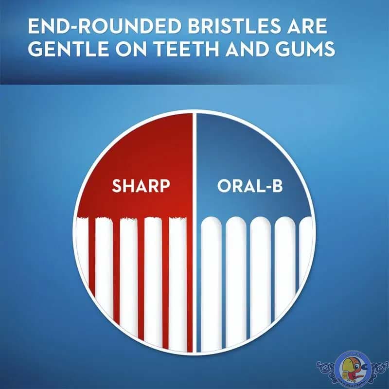 مسواک اورال-بی Gum & Enamel Care بسته دو عددی – ایرلند — تصویر ۵
