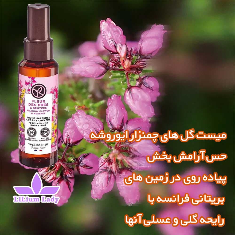 میست مو و بدن گل های چمنزار ایوروشه — تصویر ۵