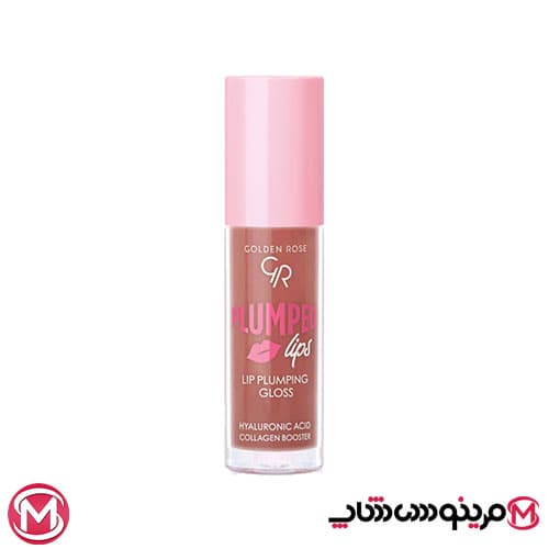 لیپ گلاس حجم دهنده گلدن رز Golden Rose شماره 208 — تصویر ۸