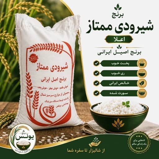 برنج شیرودی خالص ایرانی ممتاز(10کیلویی)ارسال رایگان