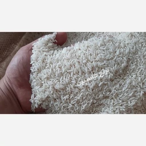 برنج طارم فجر مرغوب 10 کیلویی فریدون کنار