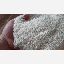 برنج طارم فجر مرغوب 10 کیلویی فریدون کنار — تصویر ۲