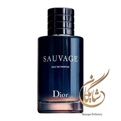 ادوپرفیوم مردانه دیور مدل ساواج _ Dior Sauvage EDP — تصویر ۶