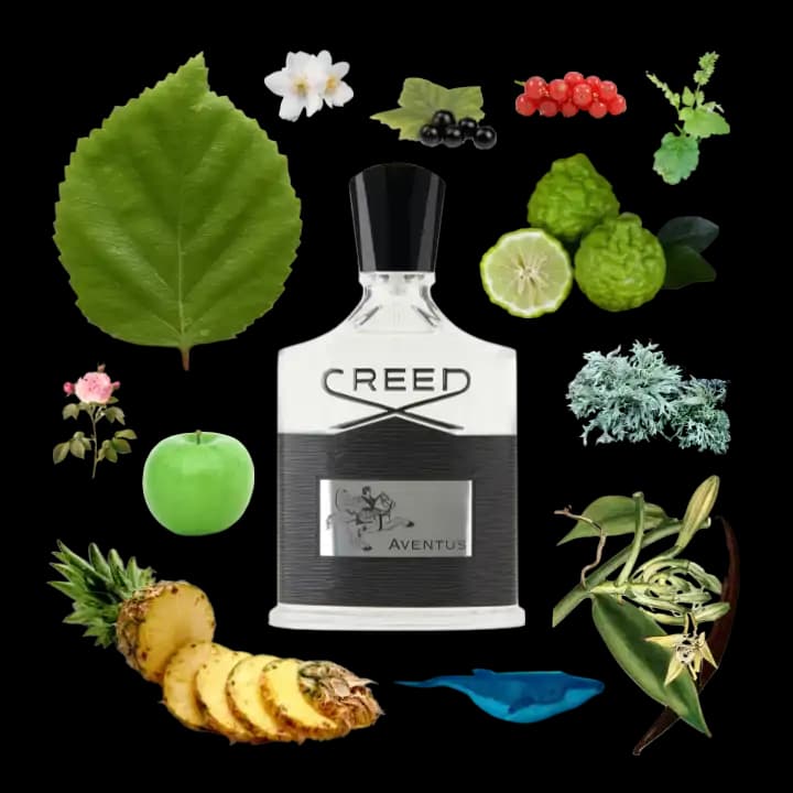 ادوپرفیوم مردانه کرید اونتوس _ Creed Aventus — تصویر ۱۱