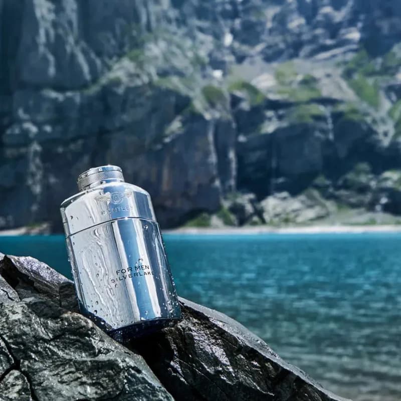ادوپرفیوم مردانه بنتلی فور من سیلورلیک _ Bentley For Men Silverlake — تصویر ۴