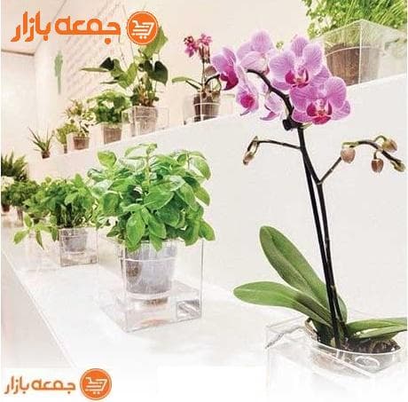 گلدان آکواریوم — تصویر ۶