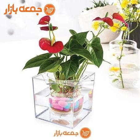 گلدان آکواریوم