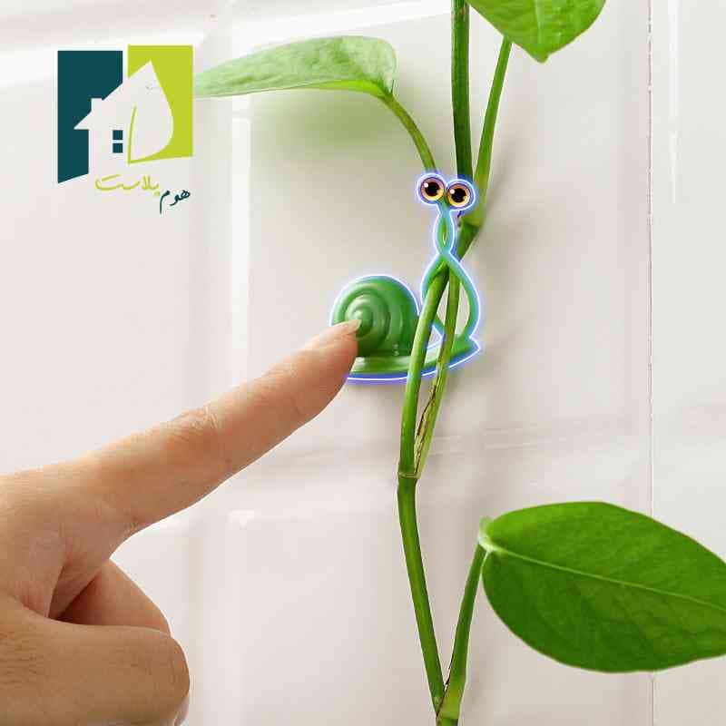 گیره گل پتوس طرح حلزون