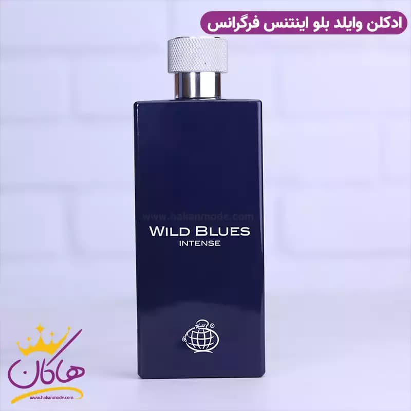 ادکلن فراگرنس مردانه وایلد بلو اینتنس مدل بلو اجمل 115 میل — تصویر ۳