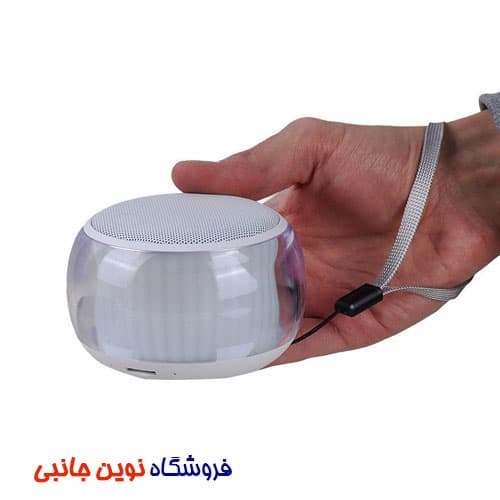اسپیکر بلوتوثی گریت نایس مدل GTS-1820 قابل حمل | Greatnice GTS-1820 portable bluetooth Speaker (تک / عمده ) — تصویر ۱۲