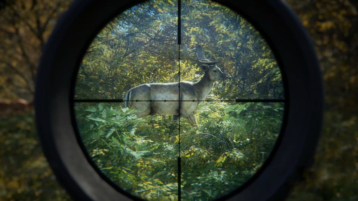 theHunter: Call of the Wild AR Steam Gift — تصویر ۸