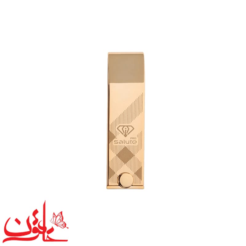 رژ لب جامد سالوته شماره S993 وزن 4 گرم — تصویر ۹
