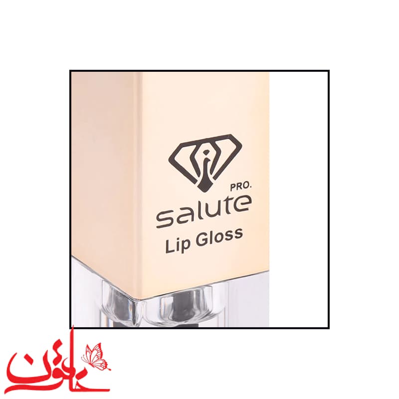 برق لب مایع سالوته 325 حجم 6میل — تصویر ۱۱