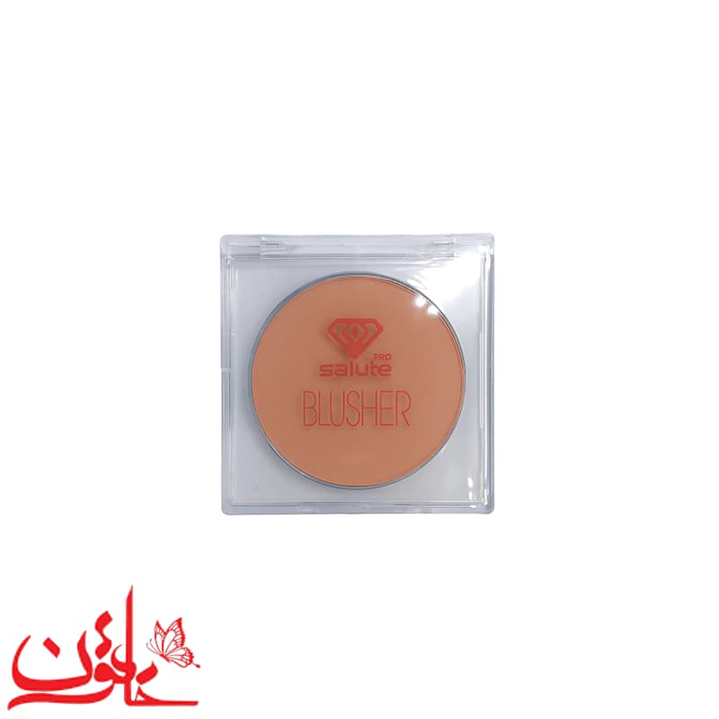 رژگونه سالوته شماره 420 Salute — تصویر ۳