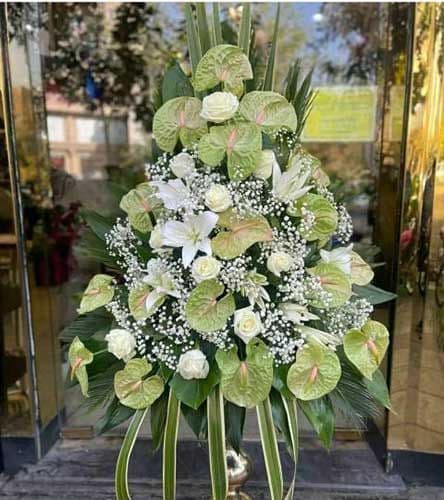 جام گل افتتاحیه 594
