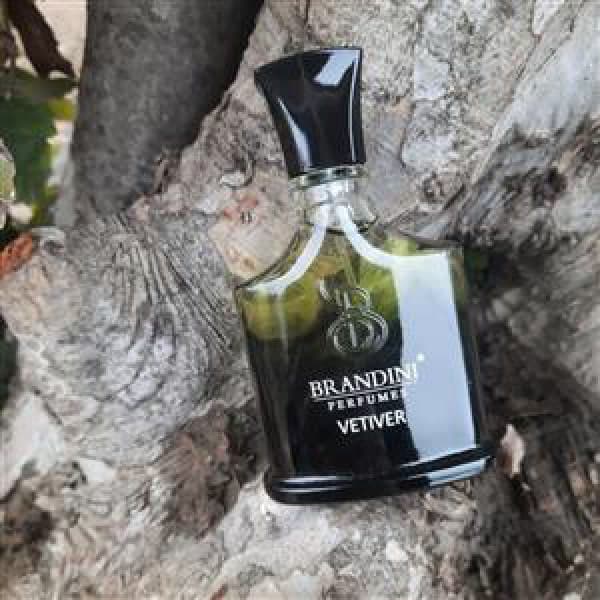 ادو پرفیوم مردانه برندینی مدل کرد VETIVER حجم 33mL — تصویر ۸