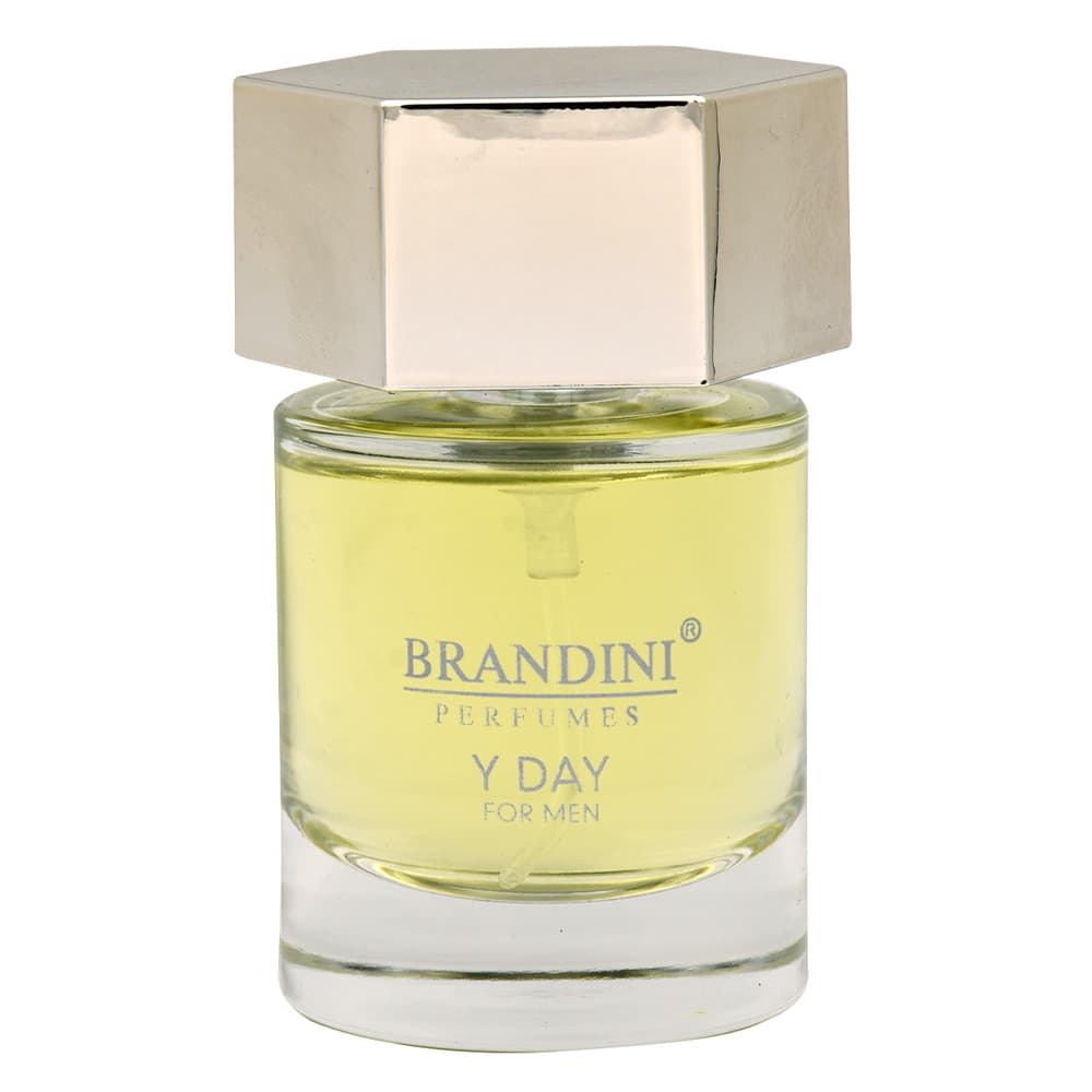 ادکلن مردانه برندینی مدل L HOMME حجم 33mL — تصویر ۷