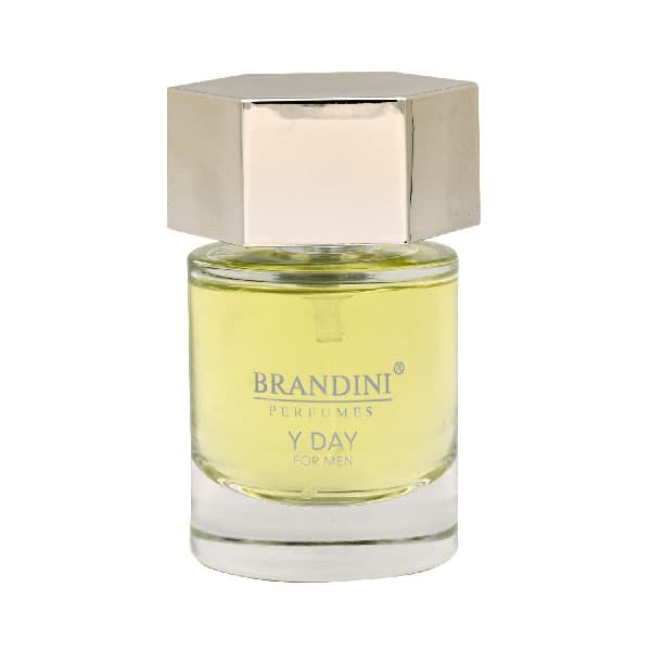 ادکلن مردانه برندینی مدل L HOMME حجم 33mL — تصویر ۵