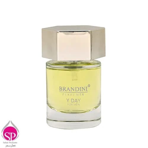 ادکلن مردانه برندینی مدل L HOMME حجم 33mL — تصویر ۶