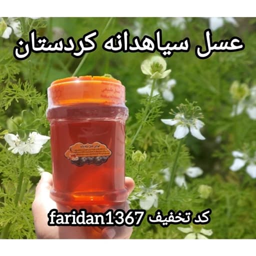 عسل سیاهدانه کردستان دشتی کوهستانی اصل(ارسال رایگان با خرید2م)