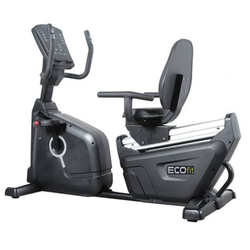 دوچرخه ثابت پشتی دار باشگاهی اکوفیت مدل X با تحمل وزن بالا