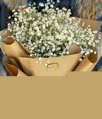 ارسال گل طبیعی برای مجتمع قضایی شماره 8 دادگاه صلح تهران