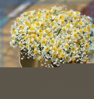 ارسال گل طبیعی برای مجتمع فنی تهران شعبه ونک