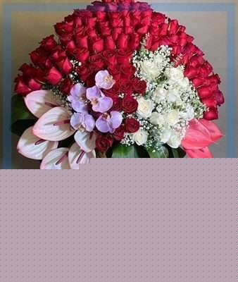 ارسال گل طبیعی برای مجتمع آ اس پ تهران — تصویر ۲