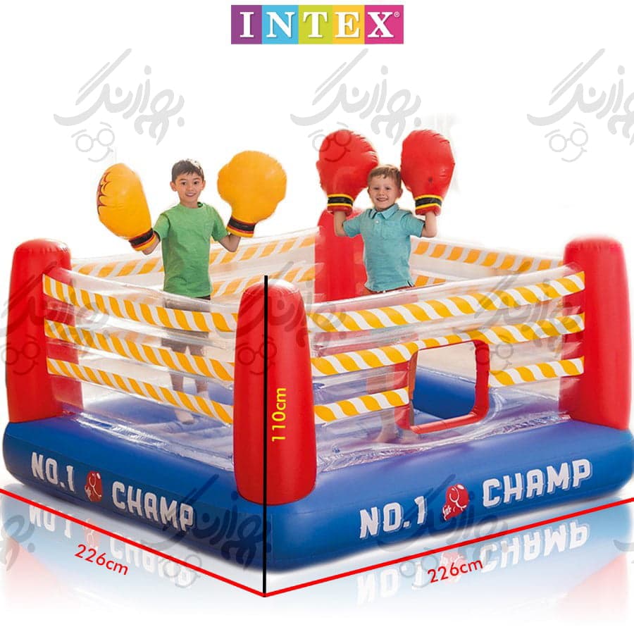 رينگ بوکس و جامپینگ بادي اینتکس مدل 48250