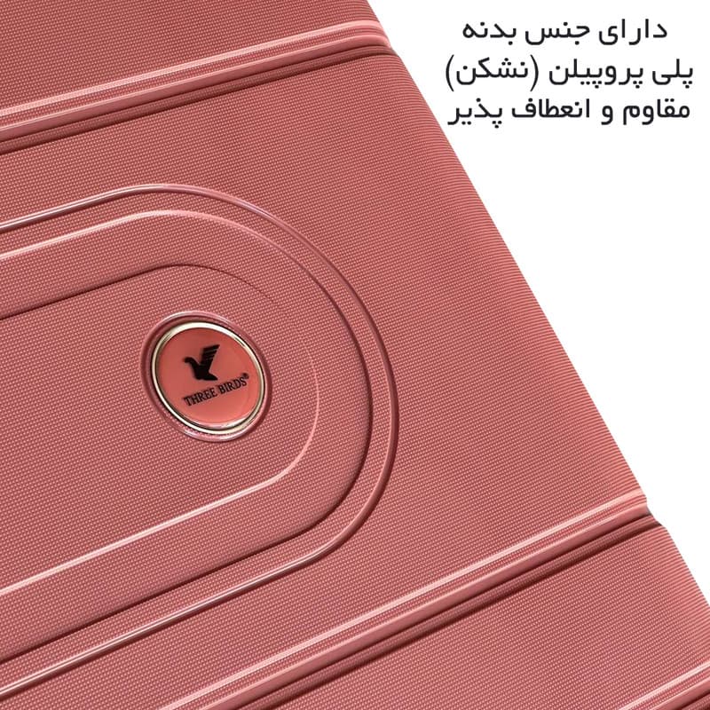 چمدان تری بردز مدل TB7171سایز متوسط ارتفاع 64 سانتی متر — تصویر ۱۱