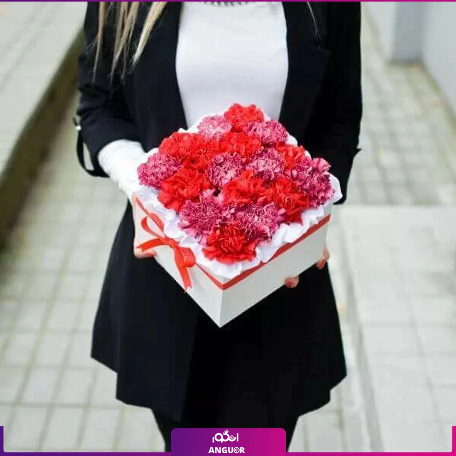 باکس گل میخک